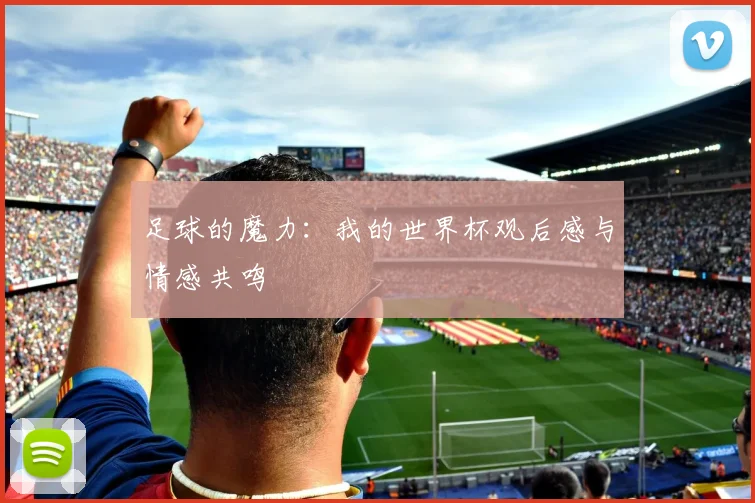 足球的魔力：我的世界杯观后感与情感共鸣